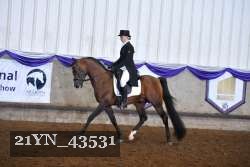 21YN_43531 proof