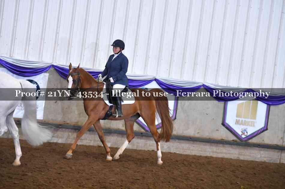 Proof 21YN_43534