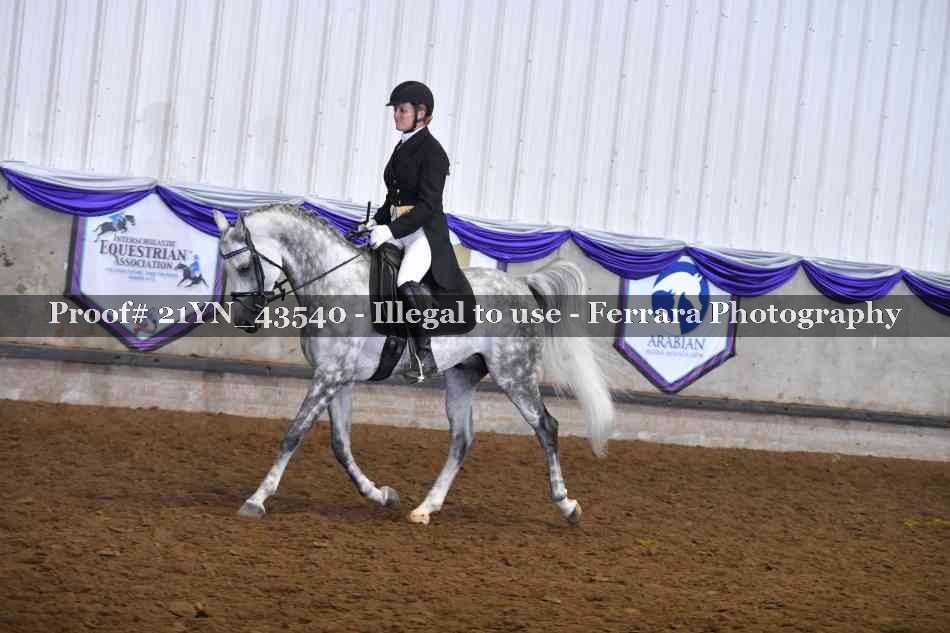 Proof 21YN_43540