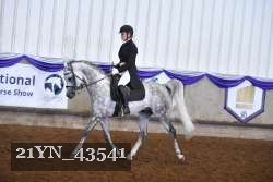 21YN_43541 proof