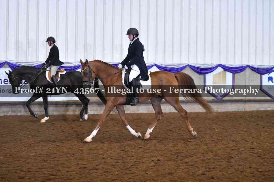 Proof 21YN_43567