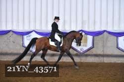 21YN_43571 proof