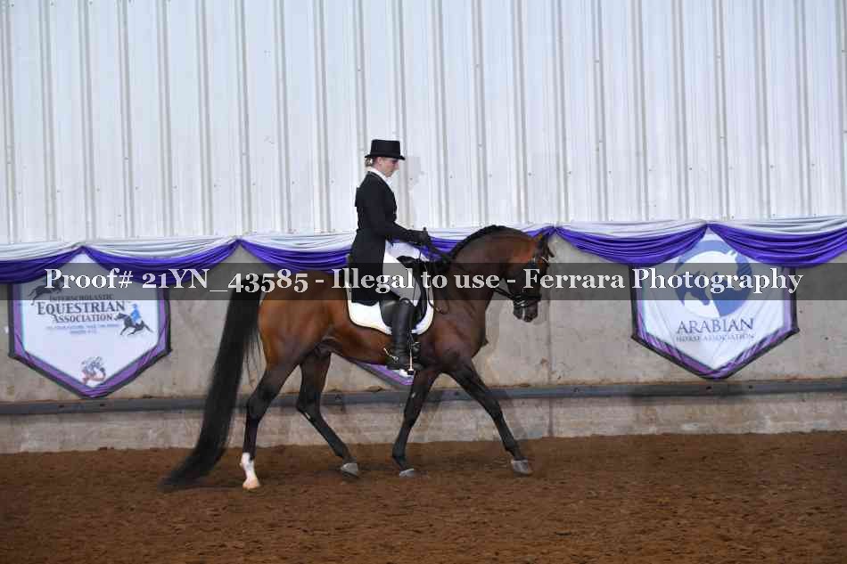 Proof 21YN_43585