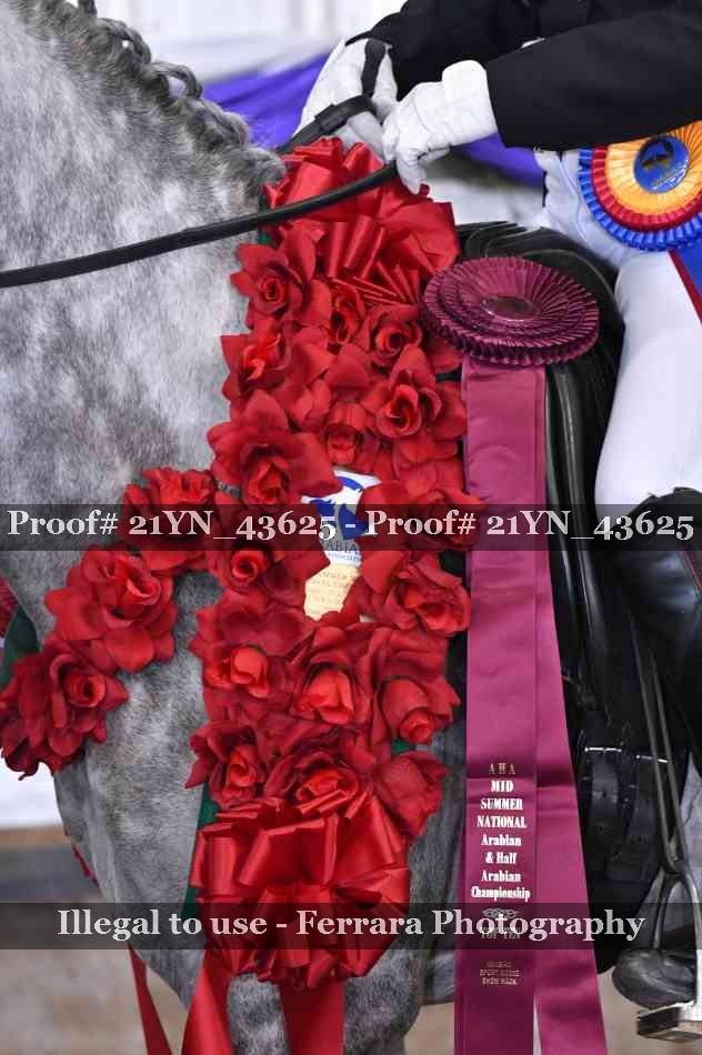 Proof 21YN_43625