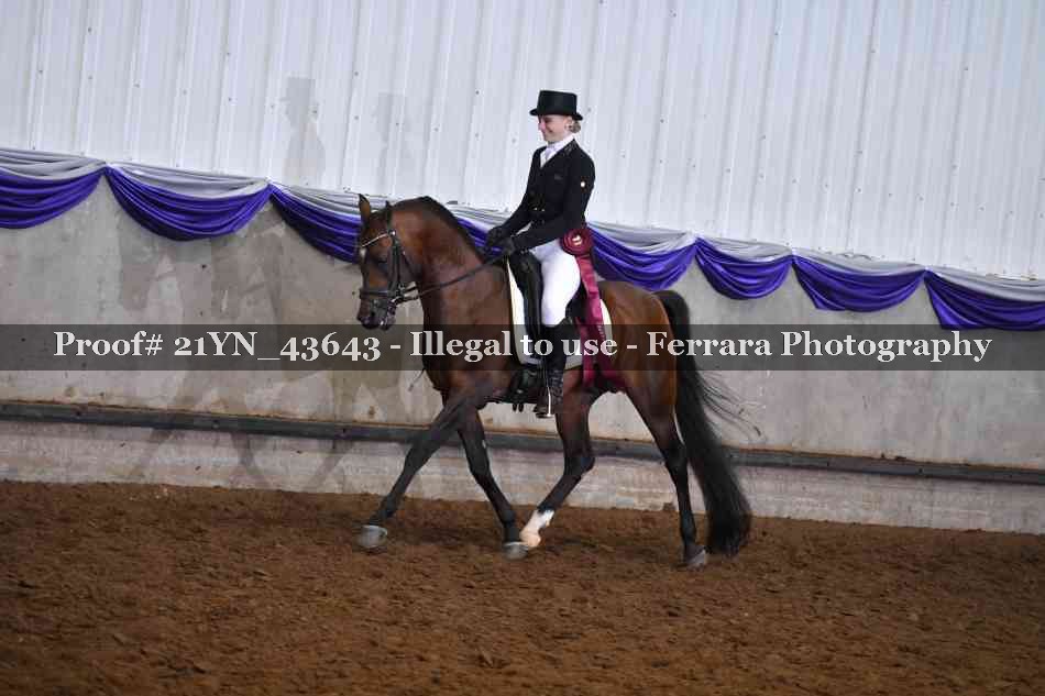 Proof 21YN_43643