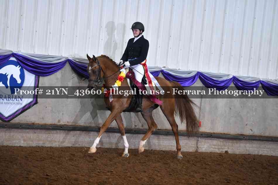 Proof 21YN_43660