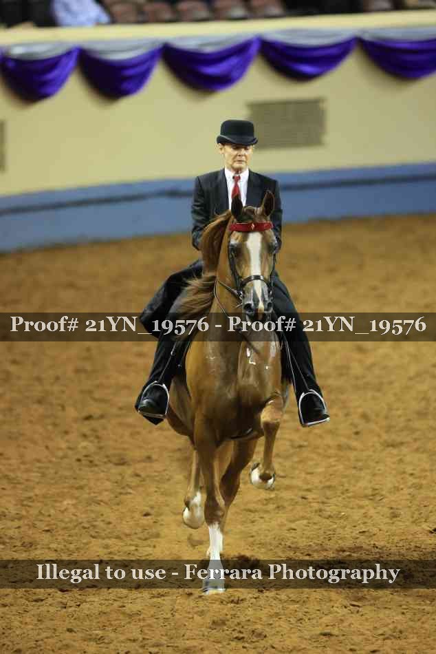 Proof 21YN_19576