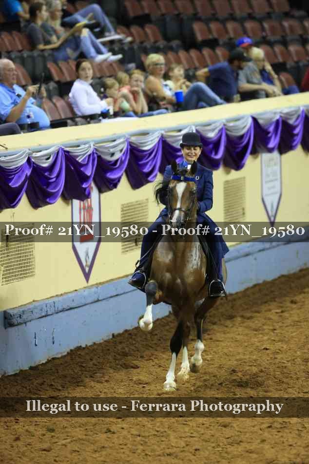 Proof 21YN_19580