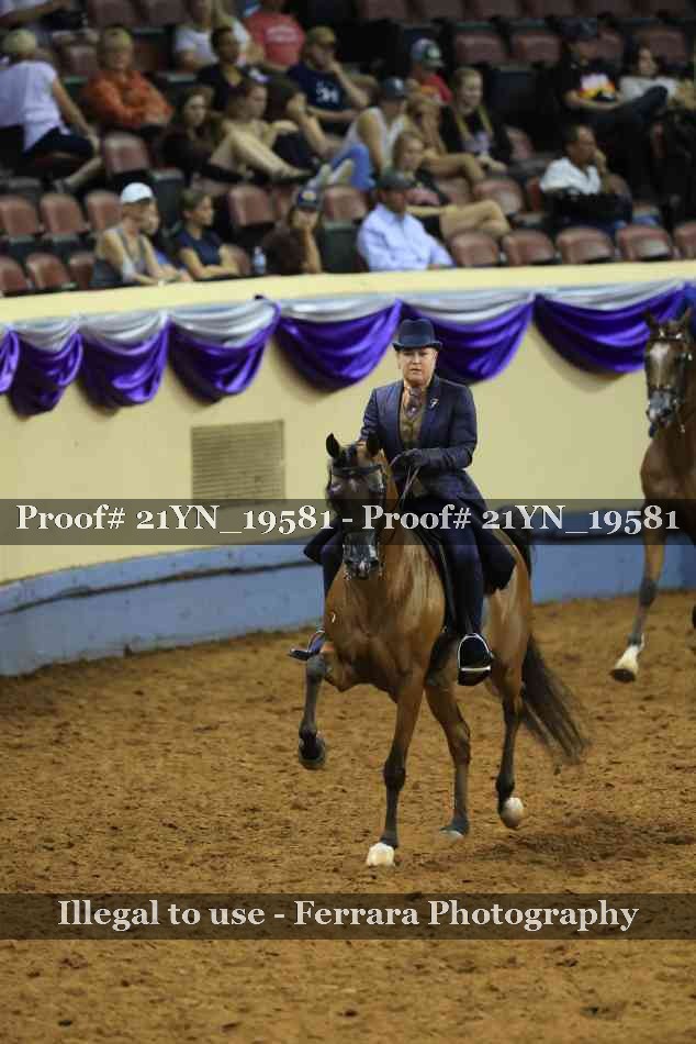 Proof 21YN_19581