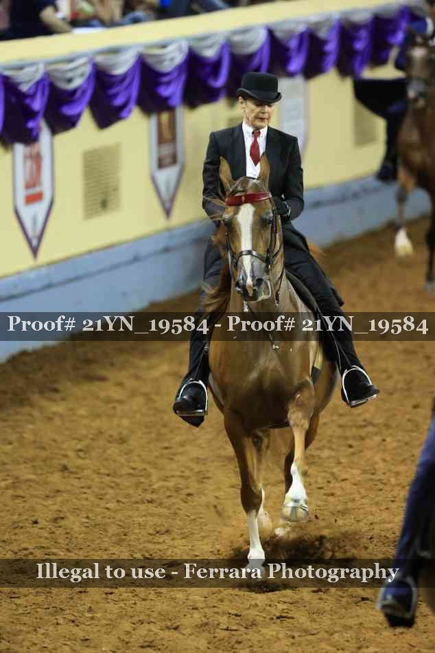 Proof 21YN_19584
