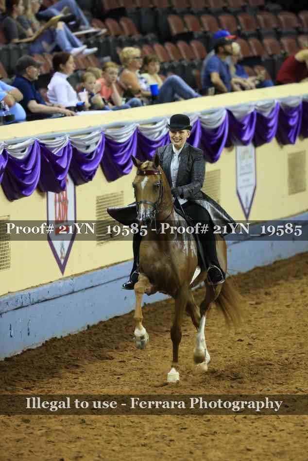 Proof 21YN_19585