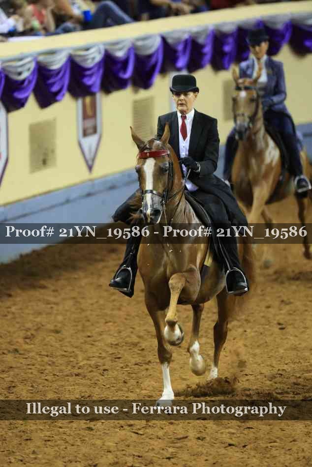 Proof 21YN_19586