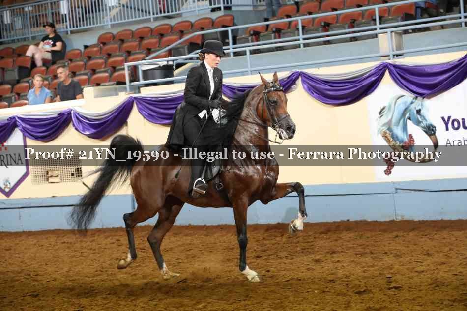 Proof 21YN_19590