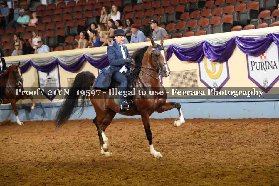 Proof 21YN_19597