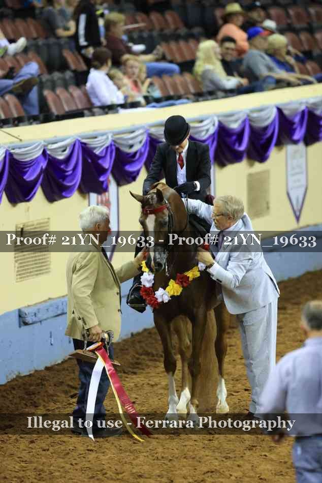 Proof 21YN_19633