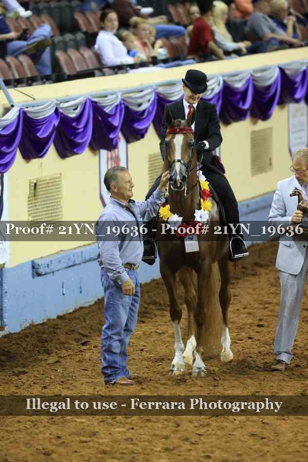 Proof 21YN_19636