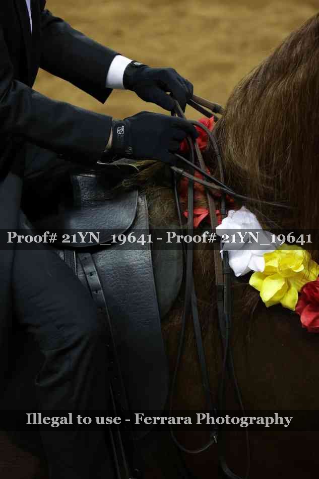 Proof 21YN_19641