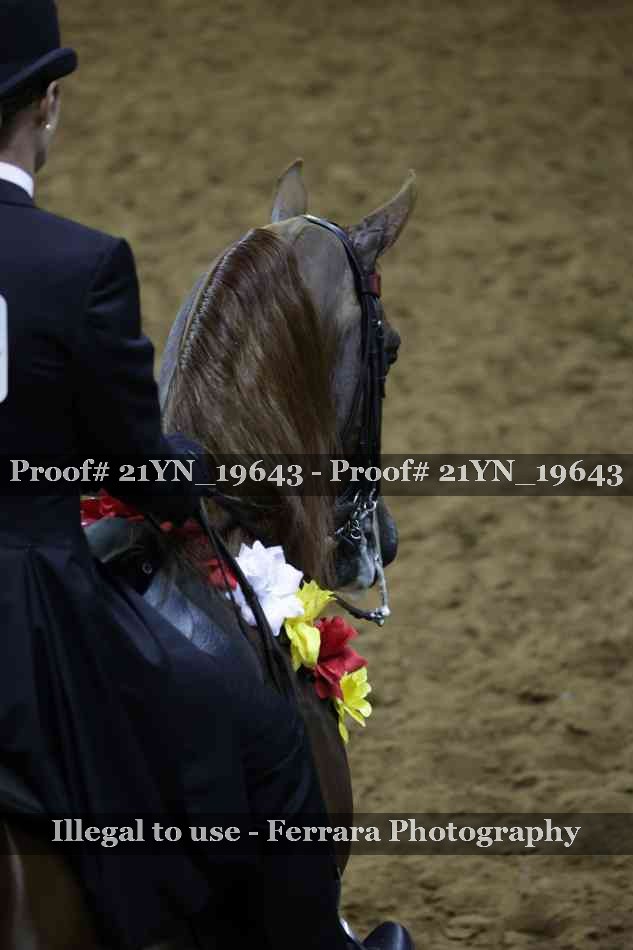 Proof 21YN_19643