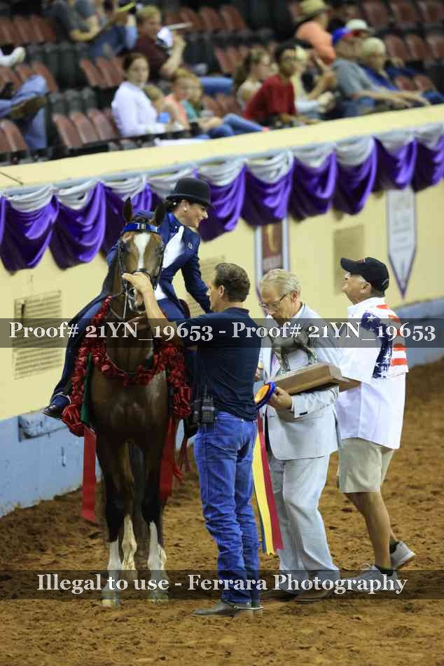 Proof 21YN_19653