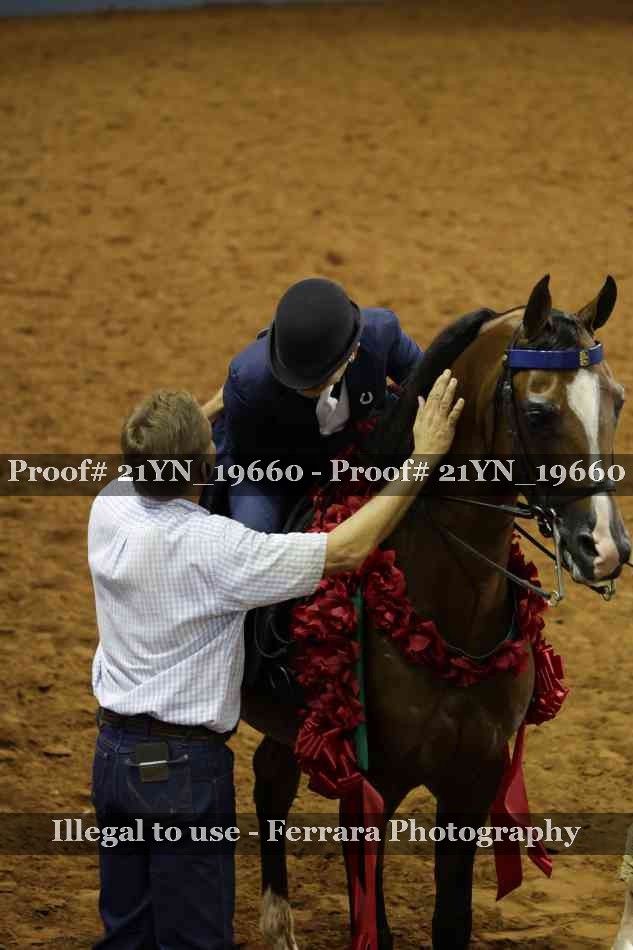 Proof 21YN_19660