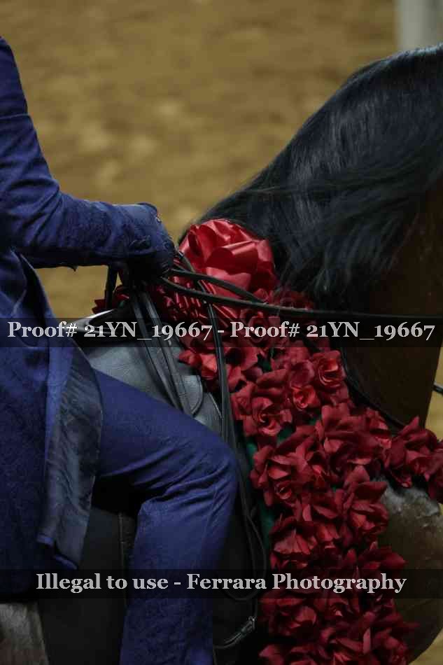 Proof 21YN_19667