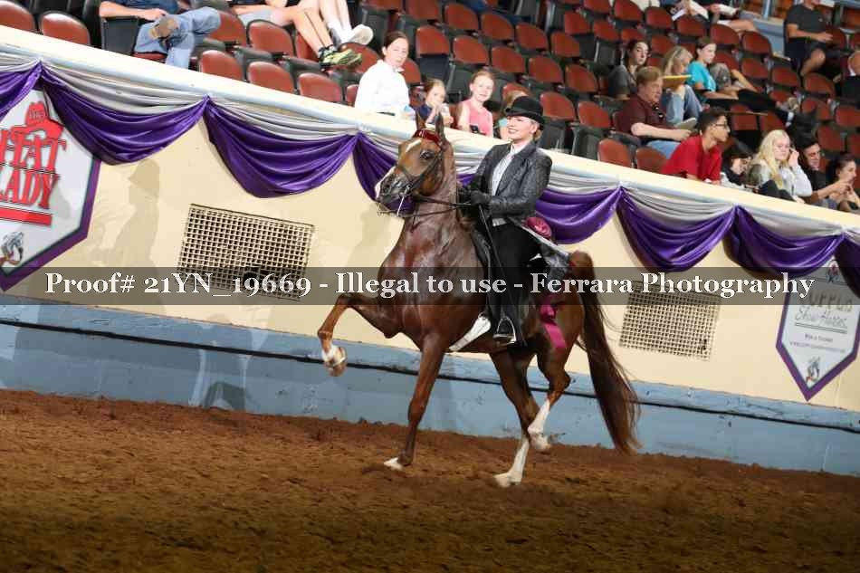 Proof 21YN_19669