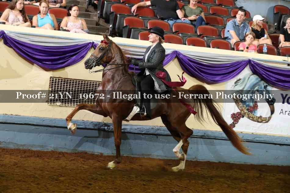 Proof 21YN_19672