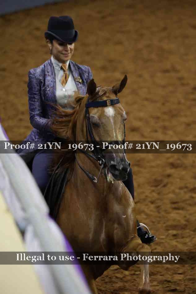 Proof 21YN_19673