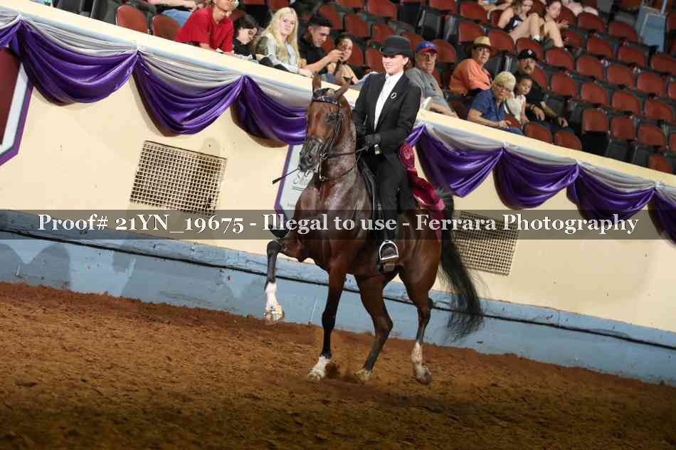 Proof 21YN_19675