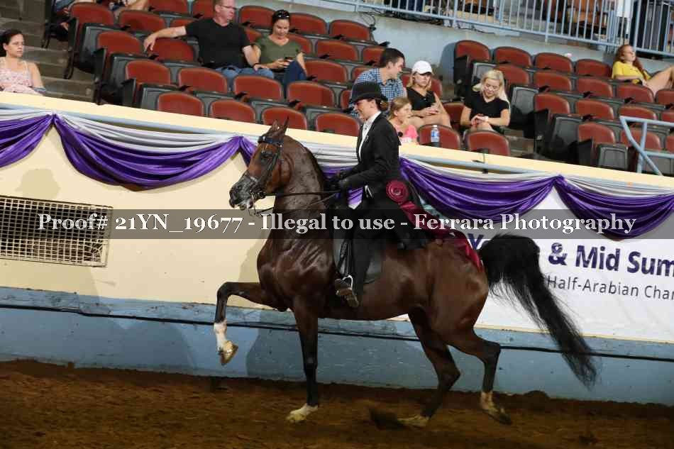 Proof 21YN_19677