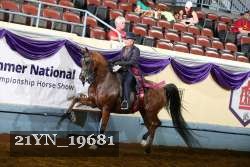 21YN_19681 proof