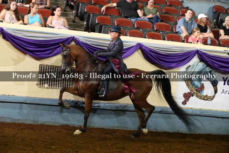 Proof 21YN_19683
