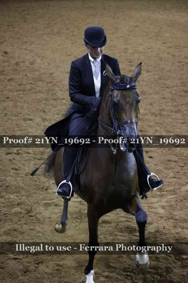 Proof 21YN_19692