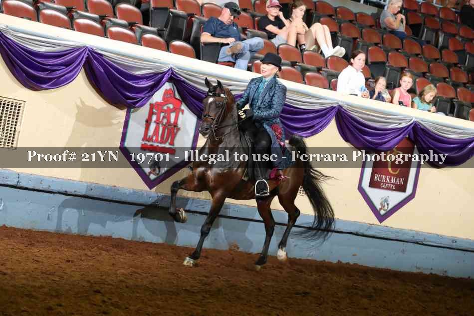 Proof 21YN_19701