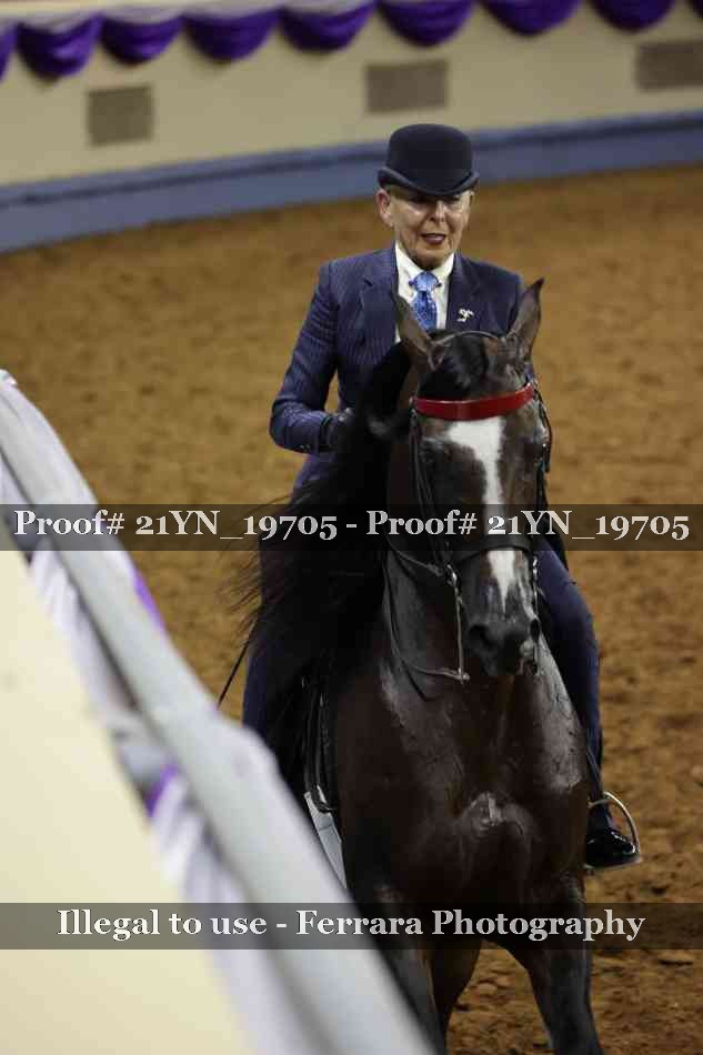 Proof 21YN_19705