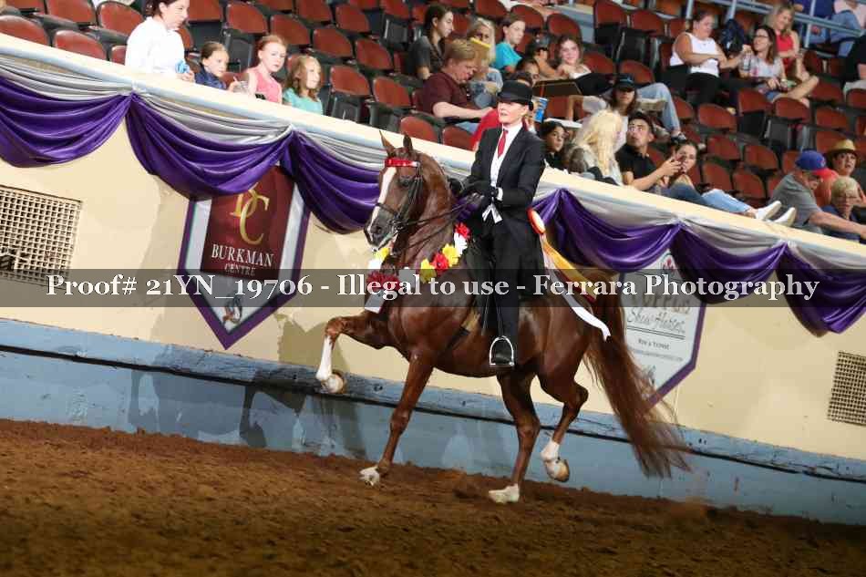 Proof 21YN_19706