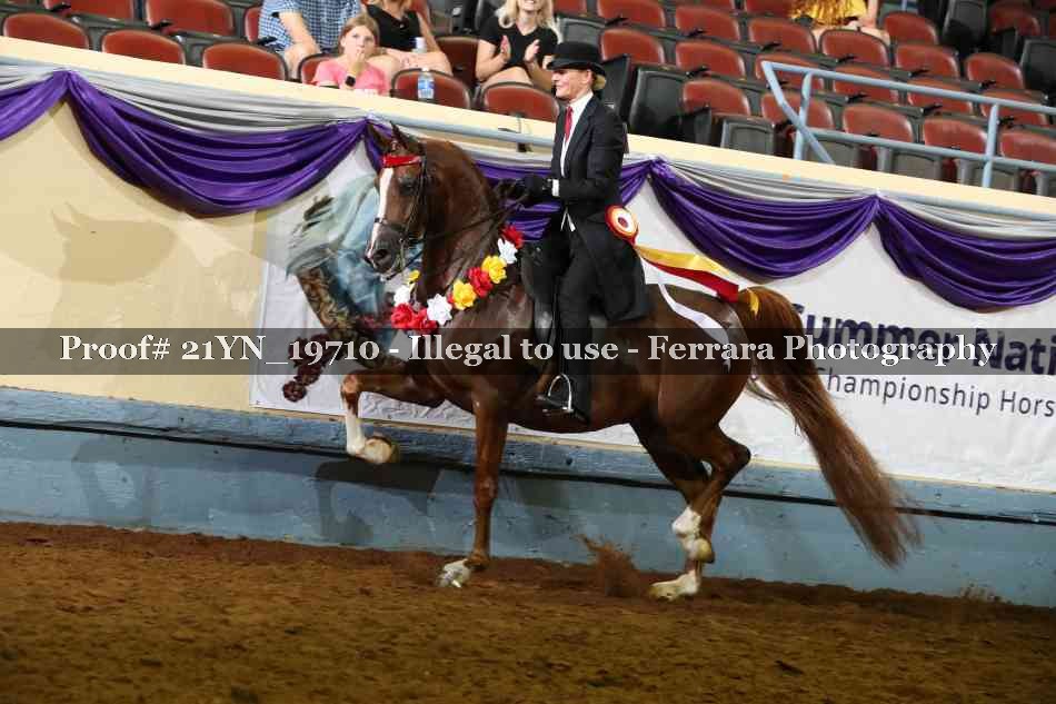 Proof 21YN_19710