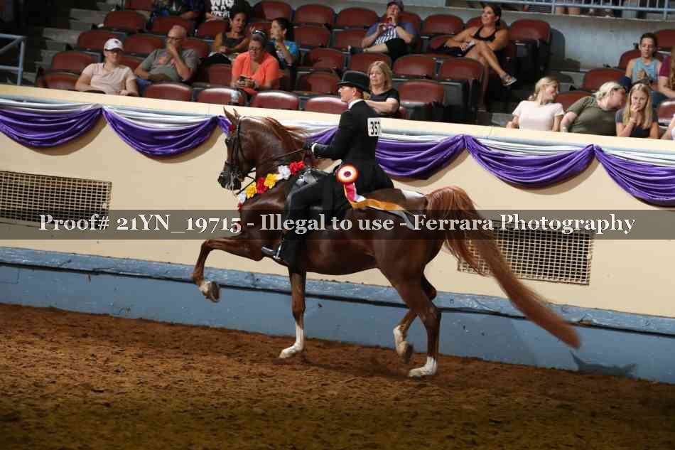 Proof 21YN_19715