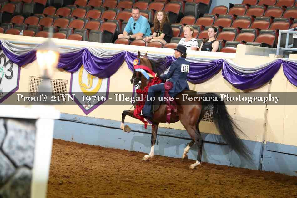Proof 21YN_19716