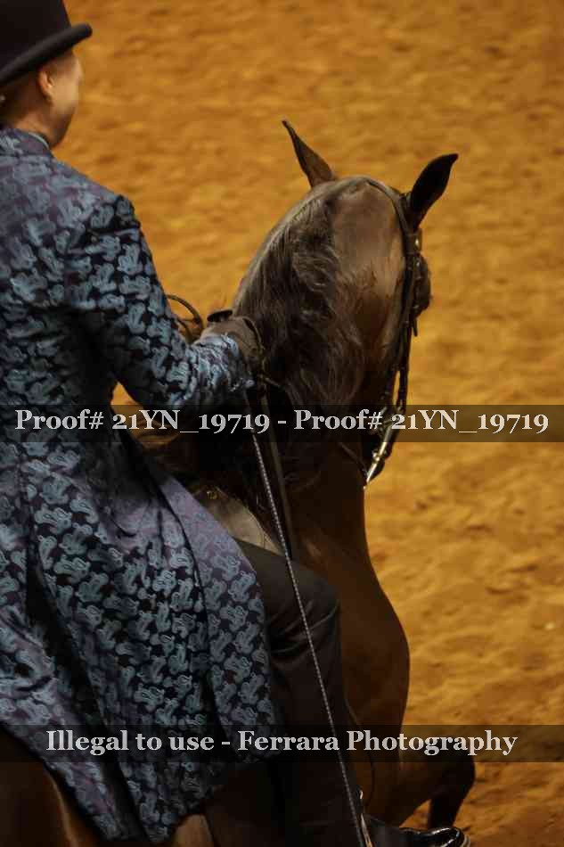 Proof 21YN_19719