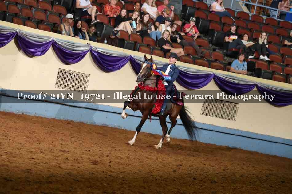 Proof 21YN_19721