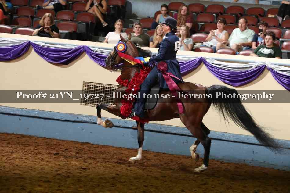 Proof 21YN_19727