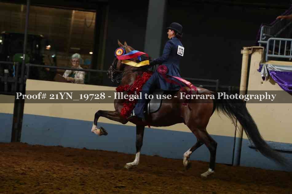 Proof 21YN_19728