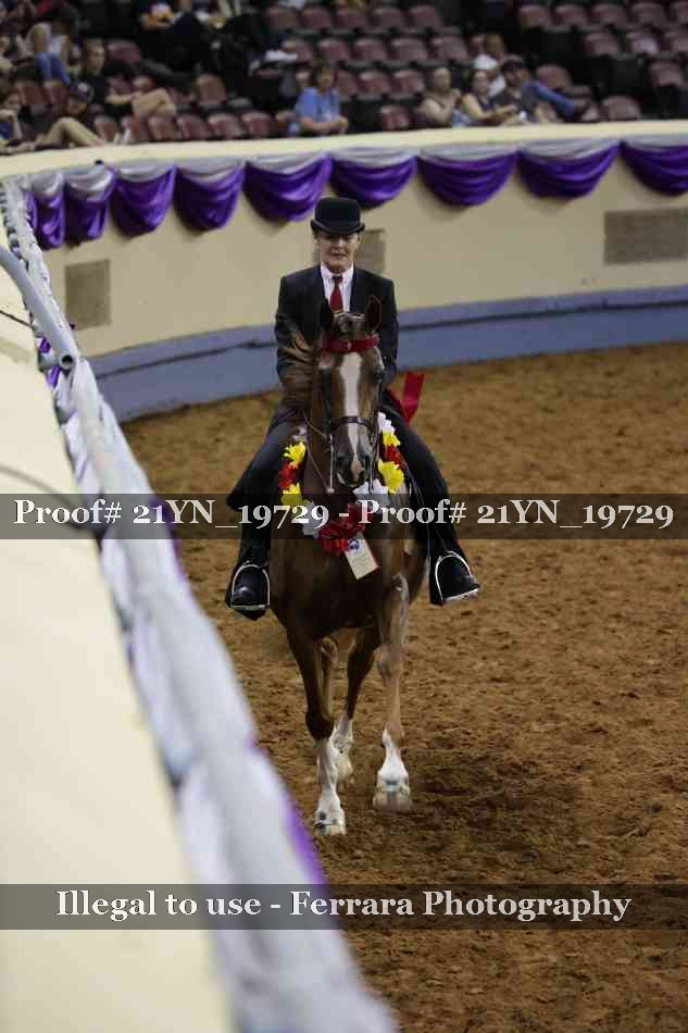 Proof 21YN_19729