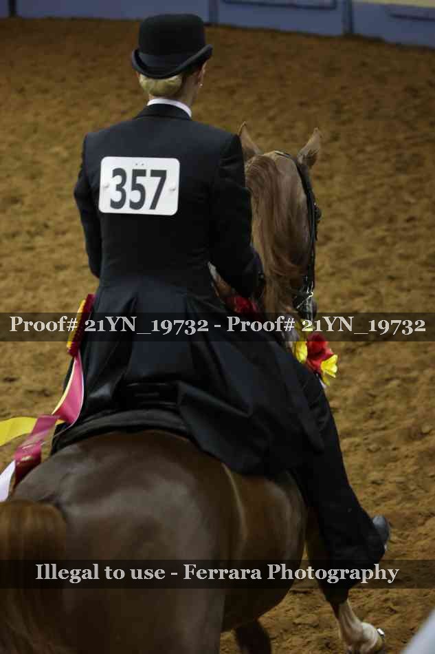 Proof 21YN_19732