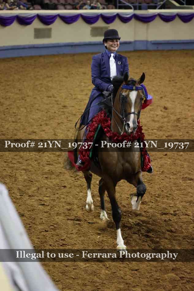 Proof 21YN_19737