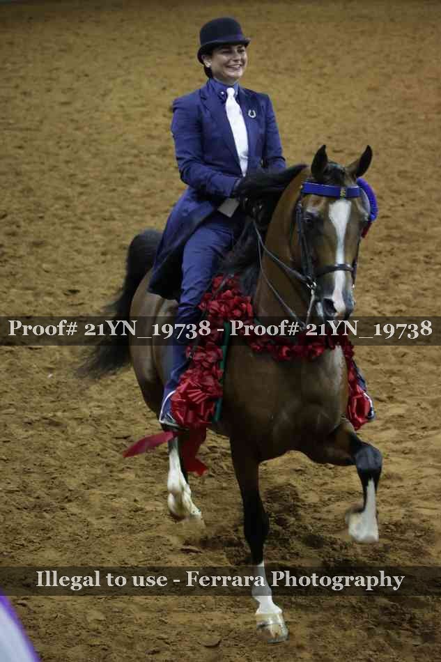 Proof 21YN_19738
