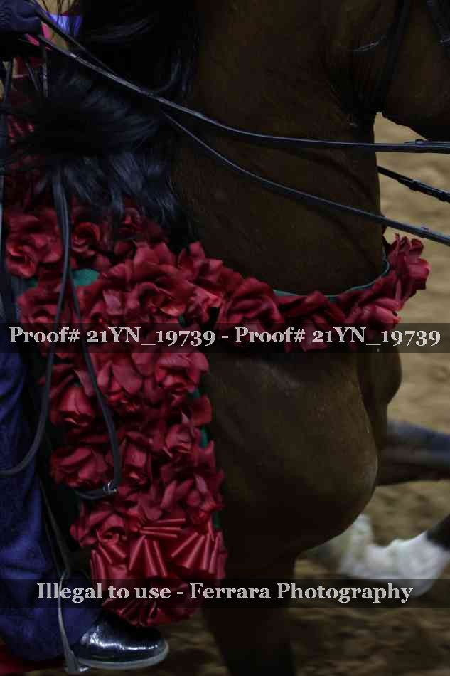 Proof 21YN_19739