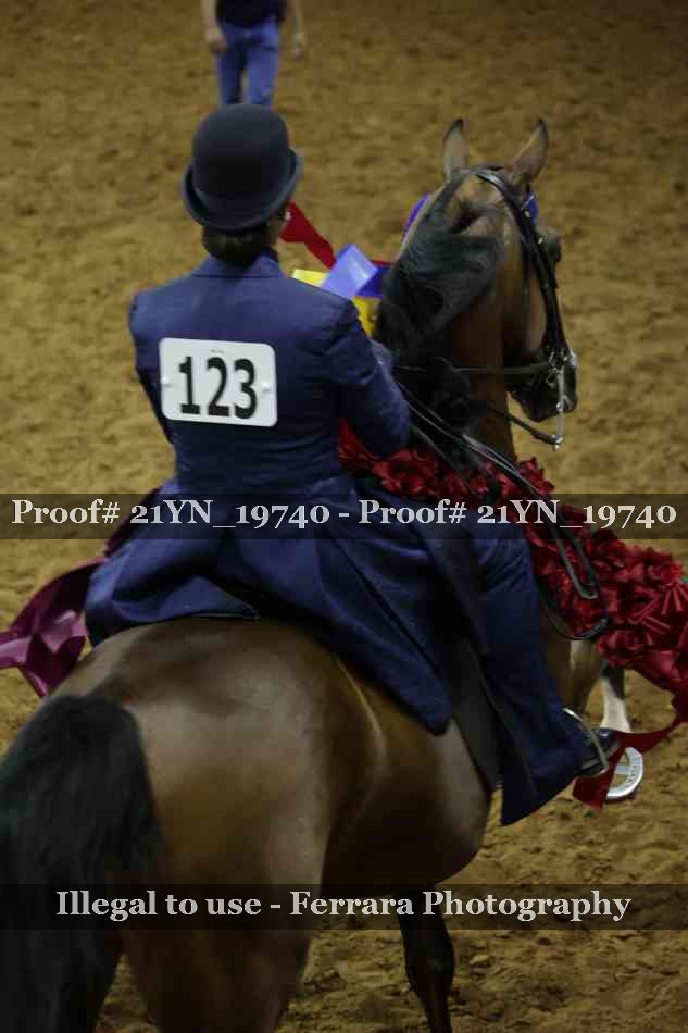 Proof 21YN_19740