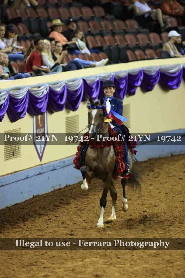 Proof 21YN_19742